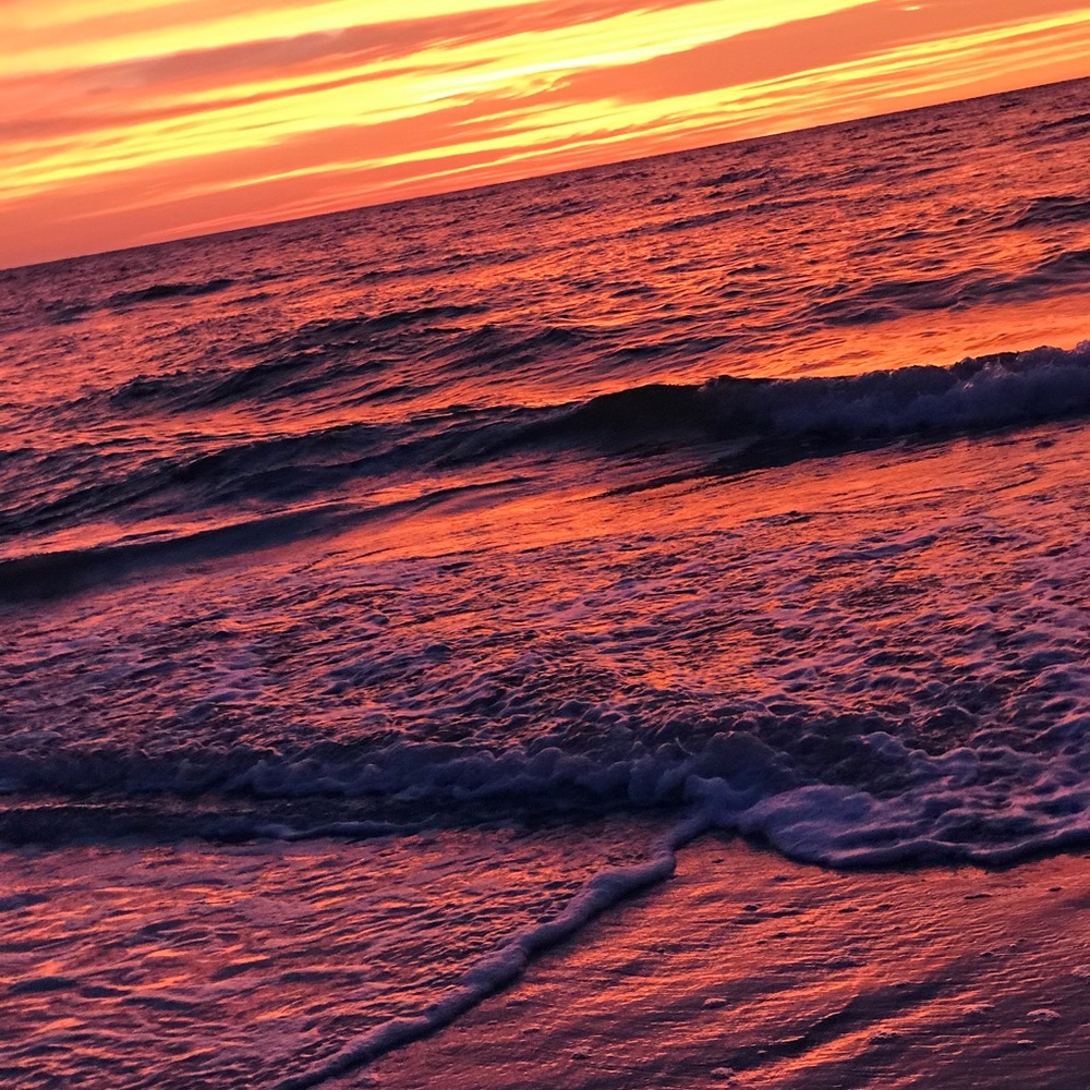 Meet your Posher, Isabella